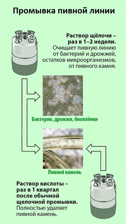 Охрана труда при работе с кислотами и щелочами. Химические вещества в медицине. Щелочной раствор + кислота. Первая помощь при химических ожогах. Химический ожог от уксусной кислоты.
