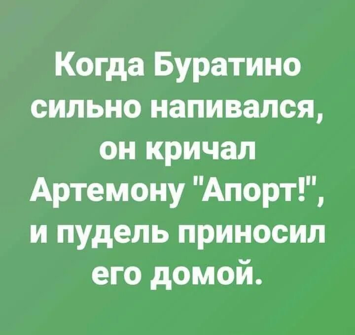 Друзья сильно напились