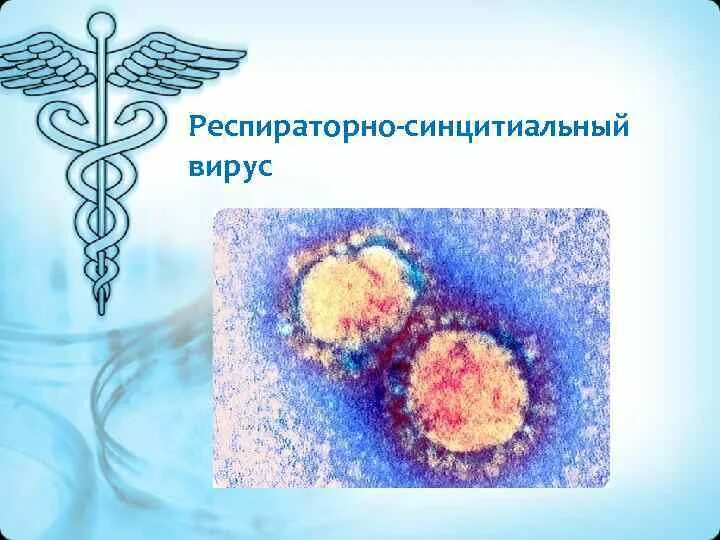 Респираторно-синцитиальный вирус. Характеристики респираторно-синцитиального вируса. Респираторно-синцитиальная вирусная инфекция у детей диагностика. Патогенез рс инфекции у детей. Респираторно-синцитиальный виру.