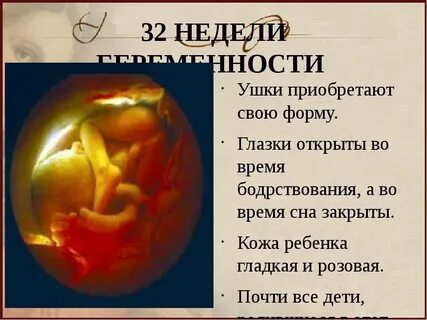 32 недели 2 кг