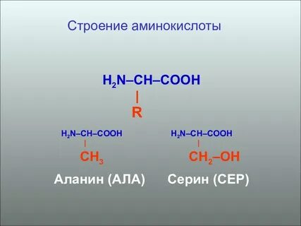 Ch 3 n ch 3 ch