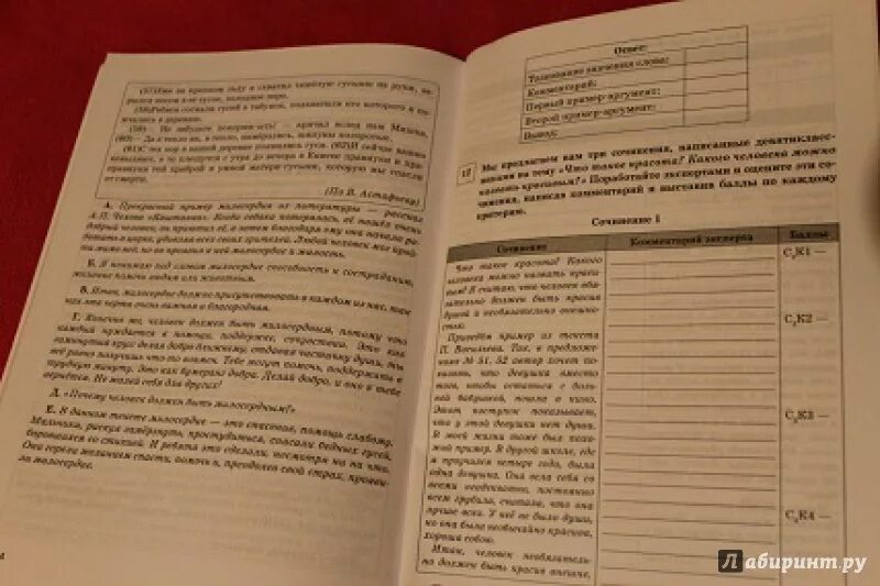 Ответы сениной 2023. Сенина Нарушевич сочинение на ЕГЭ. Сочинения 9.3 по Сениной. Сочинение Сенина 2 вариант. Сочинение по русскому вариант 15.