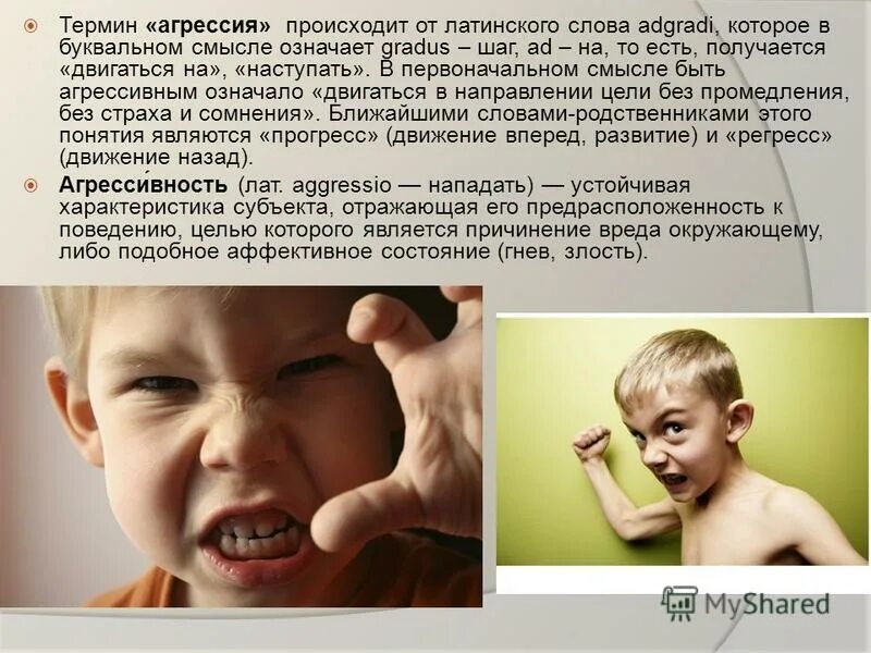 агрессивная девушка. конфликт. агрессивное поведение это в психологии. агрессия. агрессия бывшей.