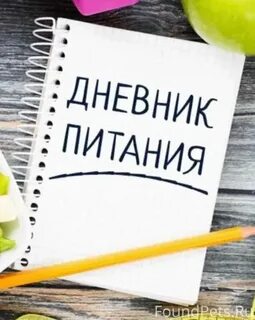 Еду дневник нижний новгород