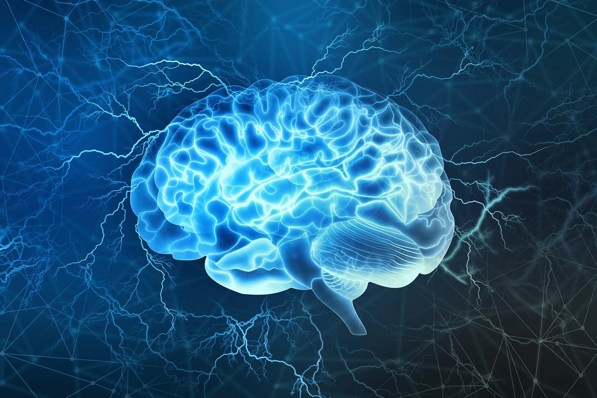 Ученые о мозге человека. Головной мозг. Изображение мозга.