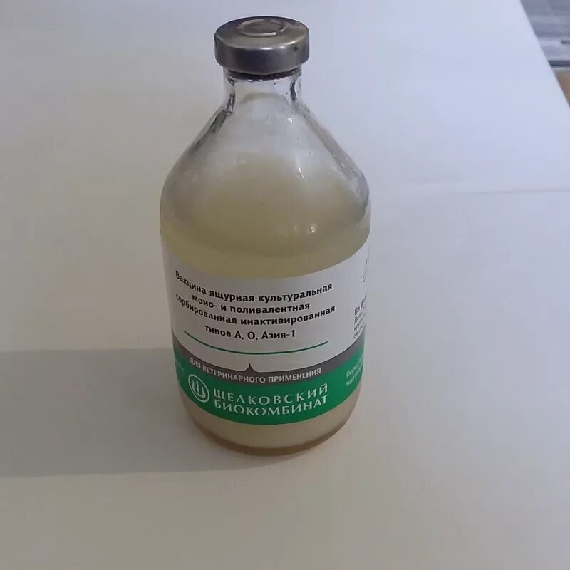 Вакцина ящура крс. Вакцина ящурная для крс. Вакцина ящурная культуральная моно- и поливалентная сорбированная. Вакцинация крс против ящура вакцина. Вакцина против сибирской язвы крс.
