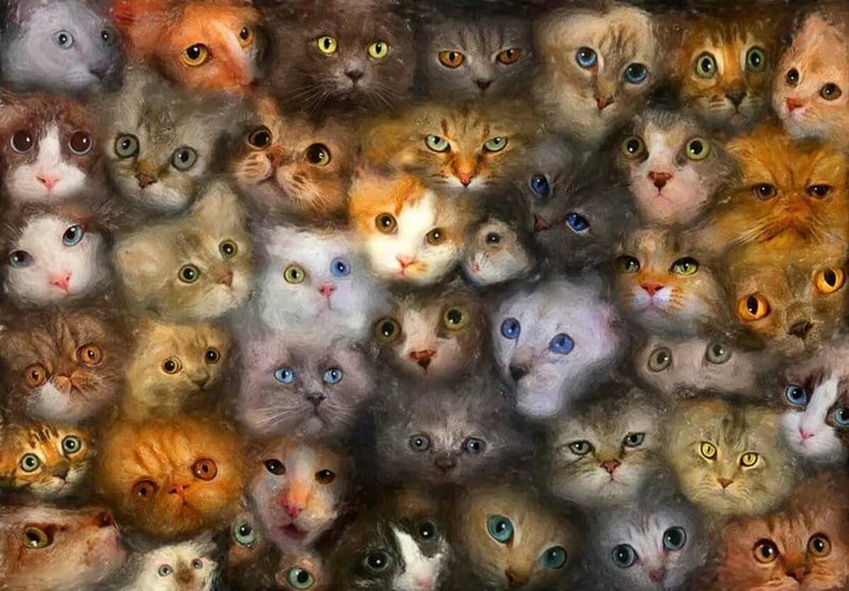 Приснилось много кошек. Котики много. Куча котов. Очень много котиков. Множество котов.