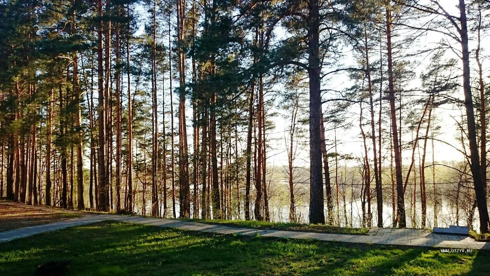 Алсма Борский район. Алсма база отдыха Нижегородская область. Алсма, деревня Васильково. Турбаза Алсма Борский район Нижегородская область.