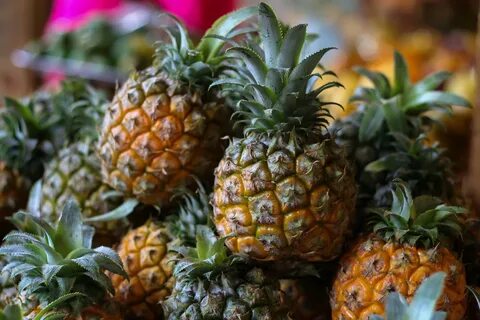 Pineapple fruit