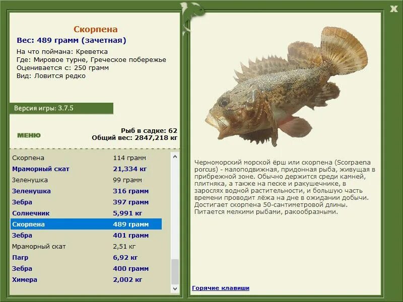Какую рыбу можно ловить в море