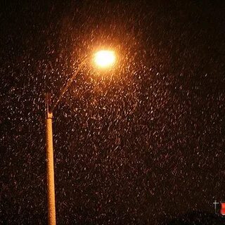 Night wind