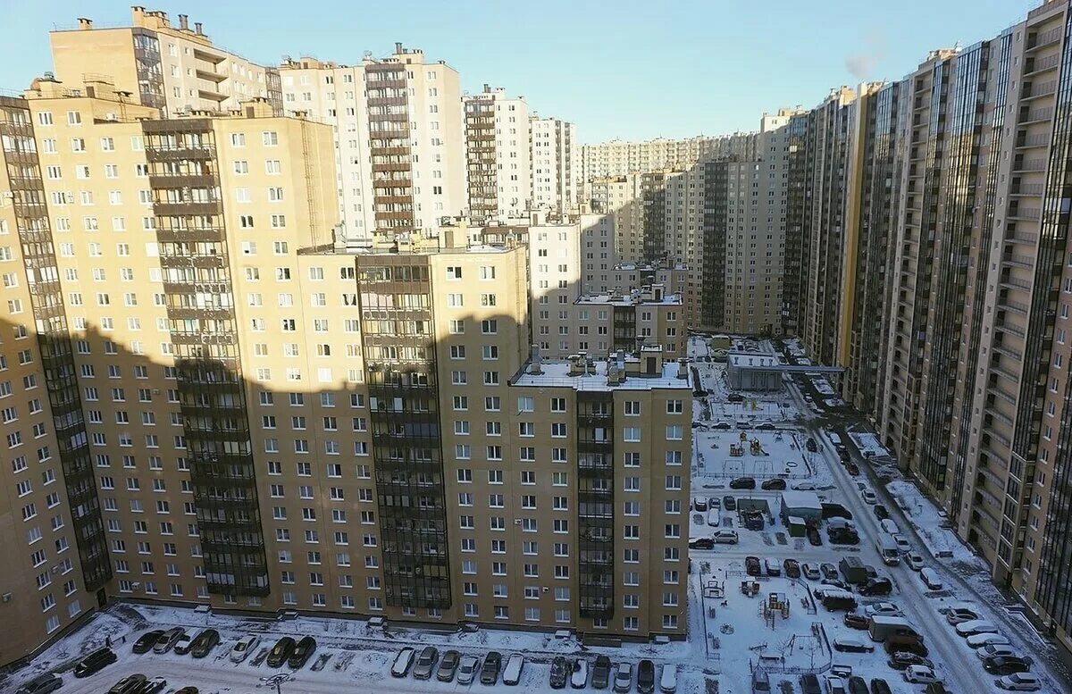 Человейник Санкт Петербург Мурино. Мурино ЖК человейники. Москва высотка человейник. Человейник в Питере Кудрово. Дом вчерашнего дня