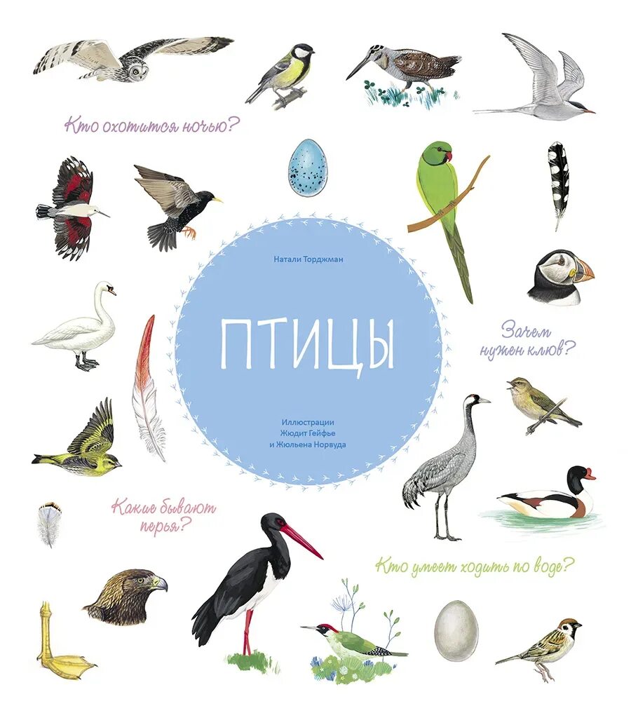 Книги о птицах. Знаешь ли ты птиц. Энциклопедия. Птица знаний. Каких перелетных птиц ты знаешь.