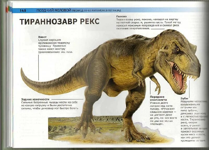 Опиши динозавра. Описание динозавров. Динозавры для детей с названиями. Динозавры описание для детей. Динозавры с описанием для дошкольников.