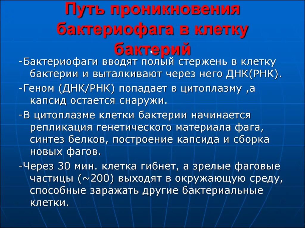 Как проникает в клетку бактериофаг. Как бактериофаги проникают в клетки бактерий.
