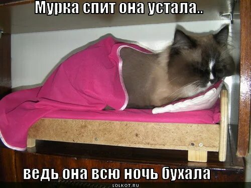 Сон будить спящего