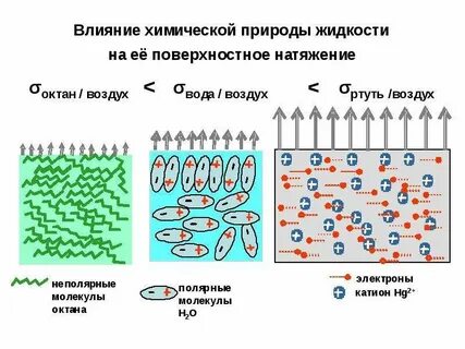 Поверхностное натяжение вода воздух