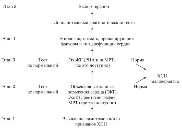 Сердечная недостаточность схема. Алгоритм лечения сердечной недостаточности. Алгоритм диагностики сердечной недостаточности. Алгоритм диагностики ХСН. Диагностический алгоритм ХСН.