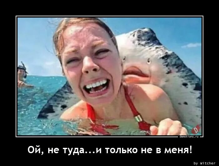 Да не надо да не туда. Туда нам надо. Туда картинка. Мем ходит туда сюда. Том и джерри приколы.