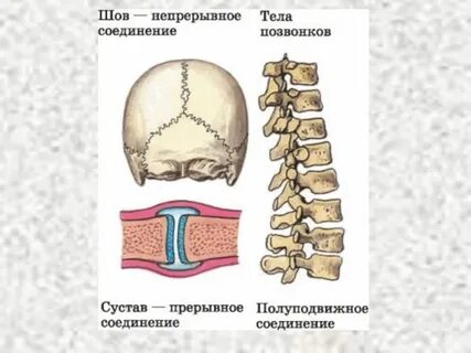 Непрерывный тип соединения