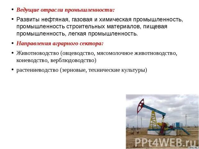 Характеристика газовой промышленности. Как можно развить нефтегазовую отрасль