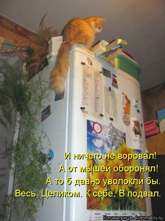 надпись чтобы не воровали. мавроди мем. ничего не украли. мемы про сигнализацию. выключили сигнализацию мем.