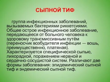 Тиф какая инфекция