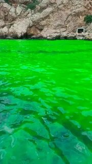 Зеленое море есть