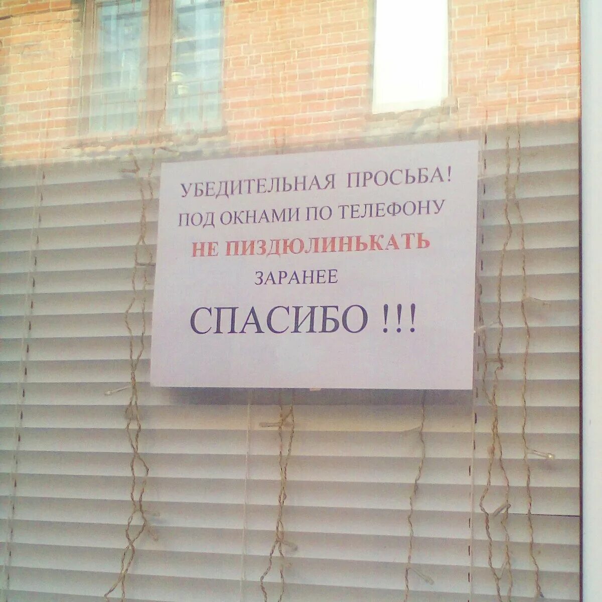 Как то не убедительно. Убирайте за собой посуду. Как то не убедительно. Миллиарды мух. Убедительная просьба.