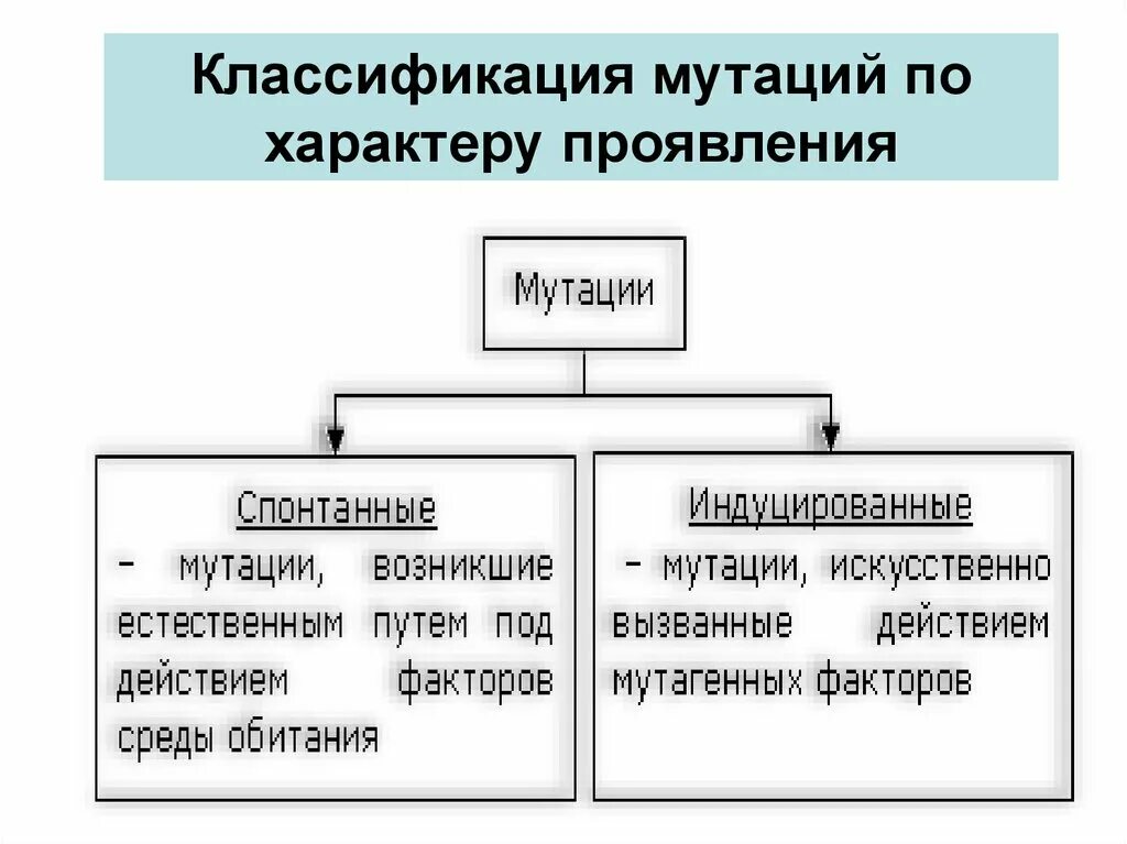 Появление рецессивных мутаций. Классификация мутаций по характеру. Мутации и их классификация по характеру проявления. Характер проявления мутаций. Нутации классификация.