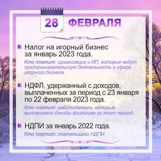 Новые отчеты за 2023