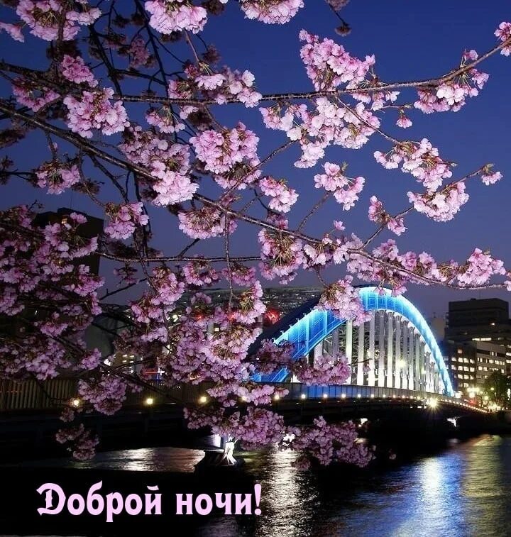Доброго весеннего ночи
