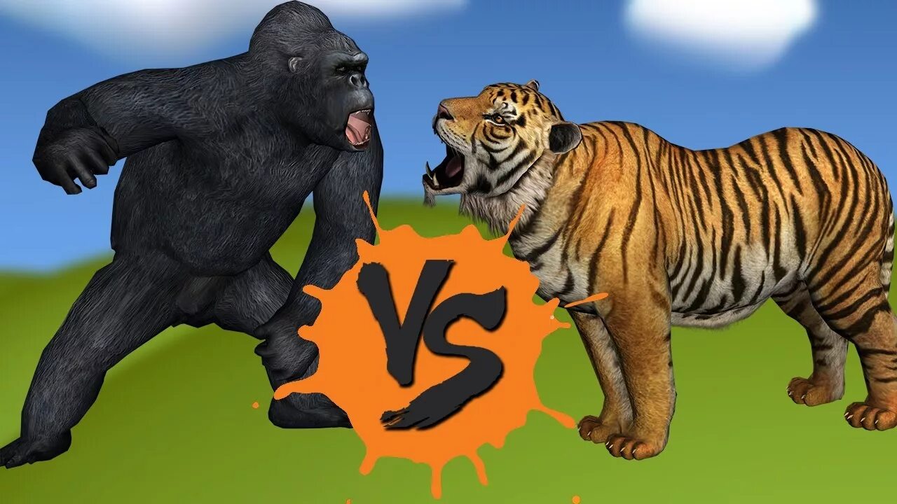 Кто сильнее медведь или горилла. Горилла и тигр. Тигр против гориллы.