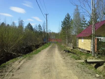 Погода ленинградская область плодовое приозерский
