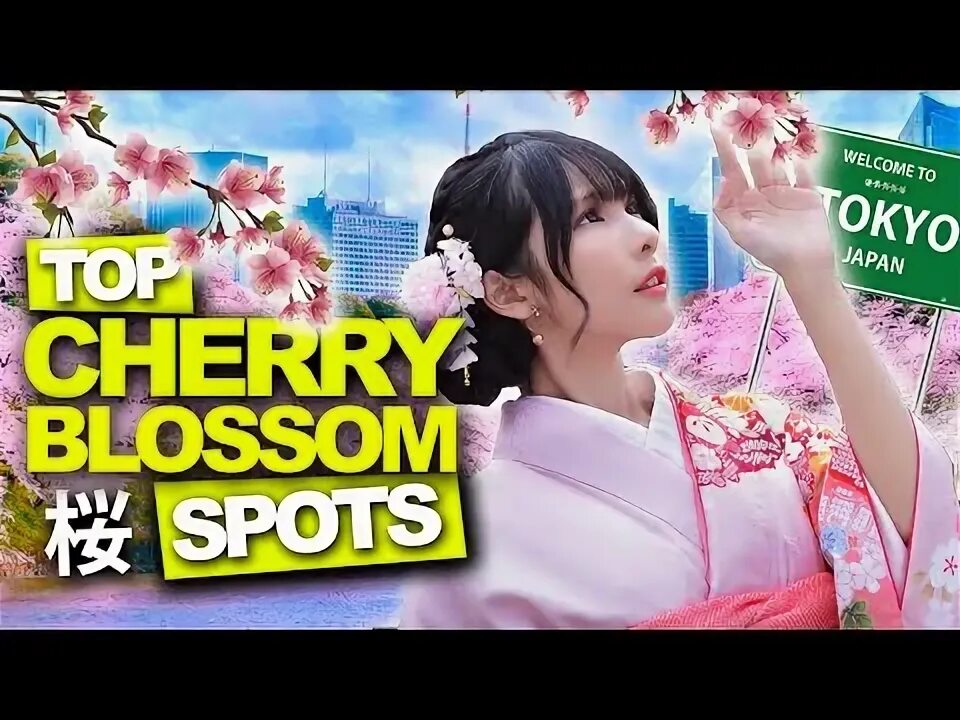 Blossom 2023. Токио Шибуя Сакура.