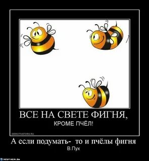 Пчела прикол