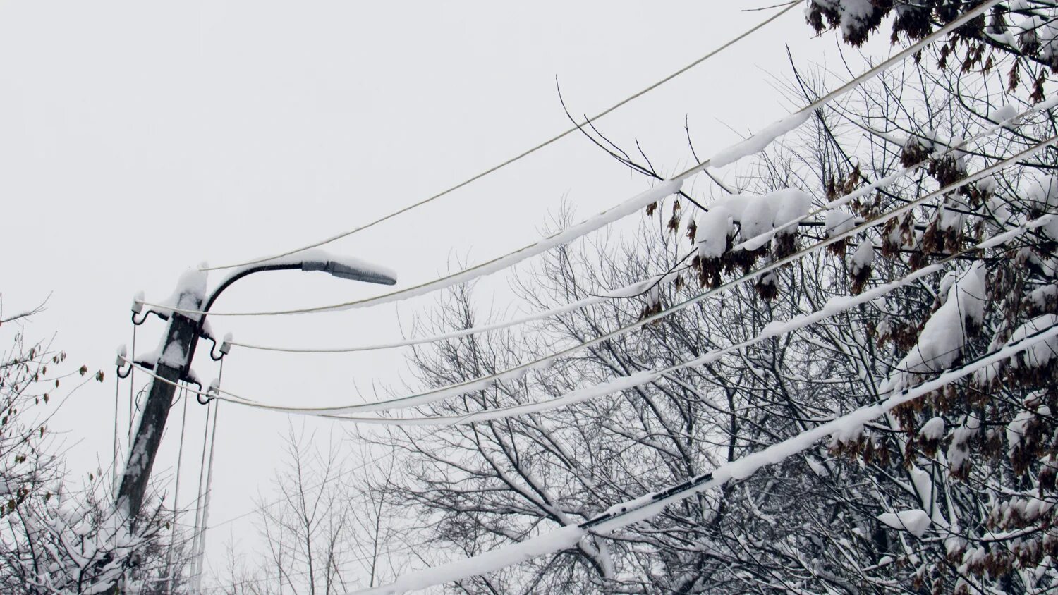 Иней на проводах. Налипание снега на провода. Обрыв проводов. Налипание мокрого снега на провода и деревья. Обрыв ЛЭП.