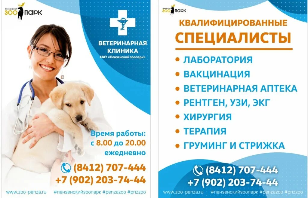 Ветлечебница елец