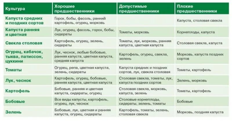 Огурцы после чего лучше. Таблица севооборота овощных культур и сидератов. Что можно сажать после капусты на следующий год в открытом грунте. Лучшие предшественники для капусты. Что сажать после капусты.