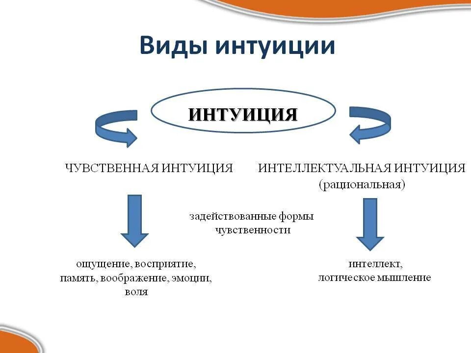 Рациональная точка зрения. Интуиция это в психологии. Виды интуиции. Интуиция презентация. Интуиция это в философии.