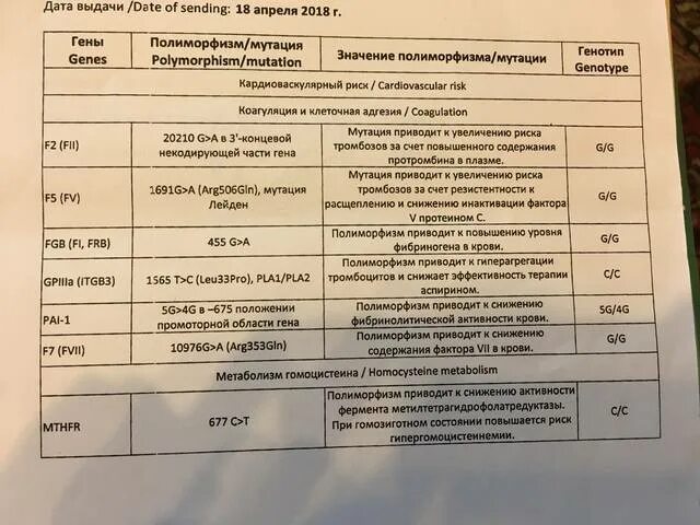 F2 f5 mthfr. Мутация в гене mthfr. полиморфизм генов гемостаза. pai-1 4g 4g. fgb -455 g&gt;a расшифровка gg.