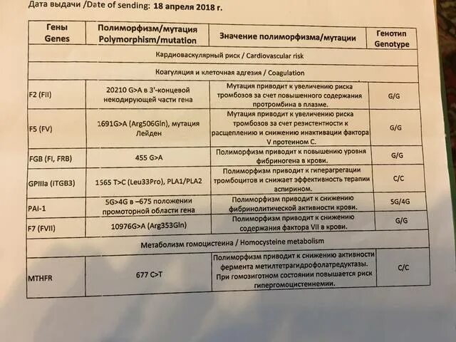 Pai 1 5g 5g. Полиморфизм в гене MTHFR. Мутация в гене MTHFR. Полиморфизм генов мутации. Анализ на мутацию генов MTHFR.