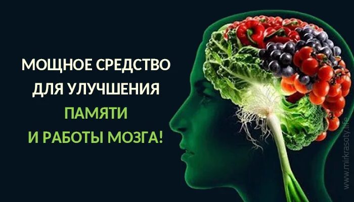 Улучшение памяти. Для улучшения памяти и работы мозга. Таблетки для памяти взрослым. Витамины для мозга.