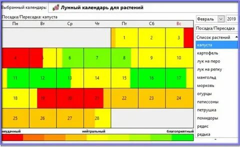 Благоприятные дни для посадки пекинской капусты