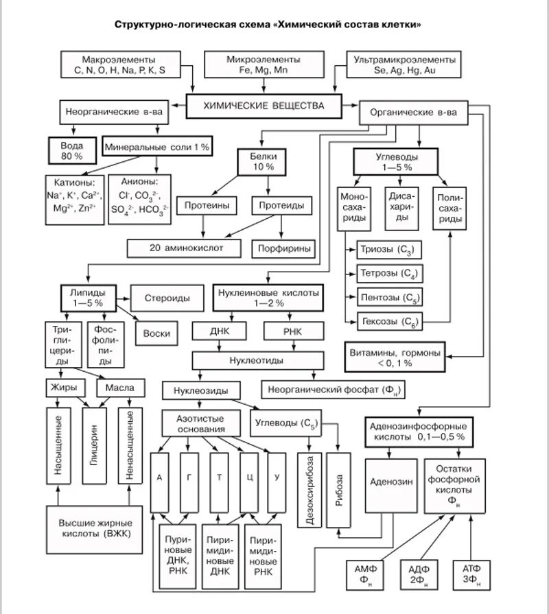 Химическая организация живого. Биология химический состав клетки схема. Химическая организация клетки таблица 10 класс. Химическая организация клетки схема. Хим состав клетки схема.