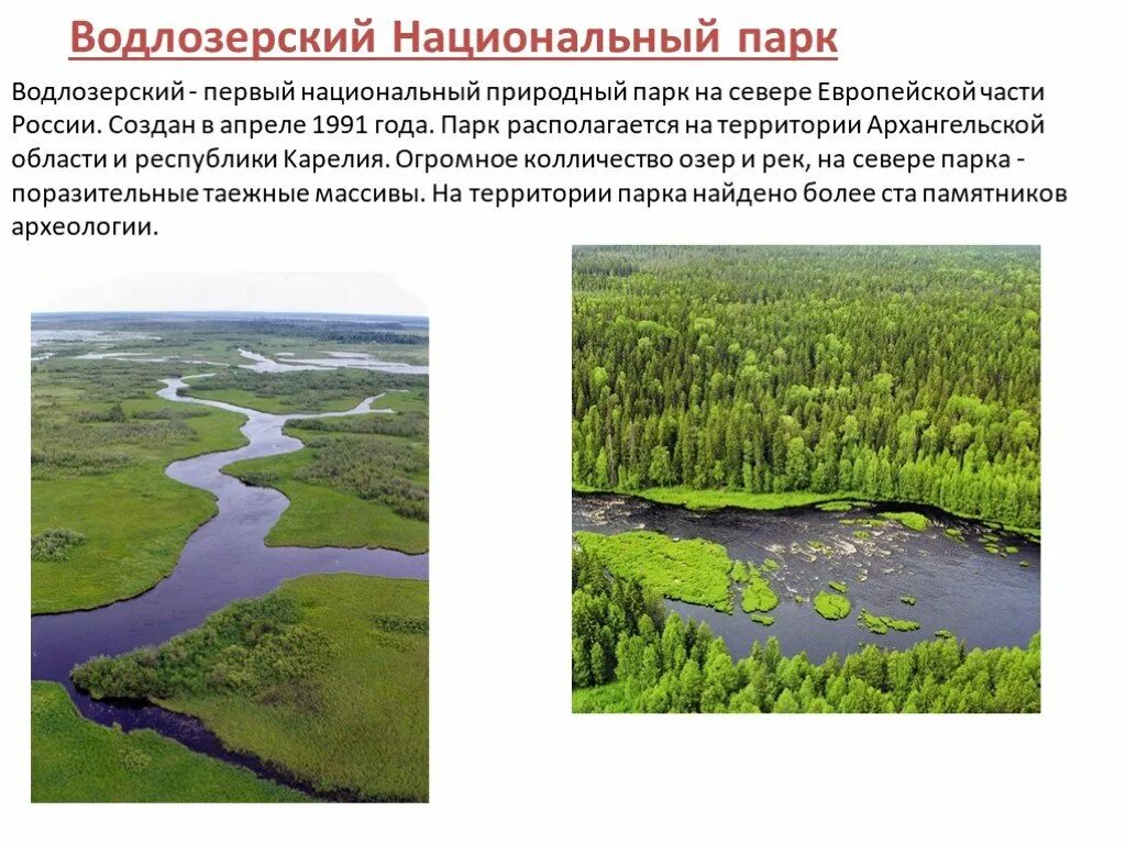 Водлозерский национальный парк Карелия. Водлозерский парк Архангельск. Водлозерский национальный парк презентация. Водлозерский заповедник карта. Водлозерский парк сайт