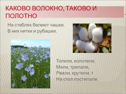 Каково таково и полотно