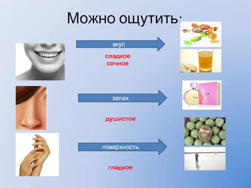 Возможно ли чувствовать