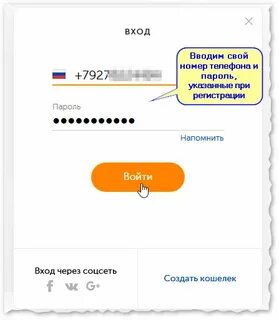 Введите номер кошелька