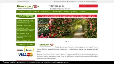 Питомник роз интернет магазин